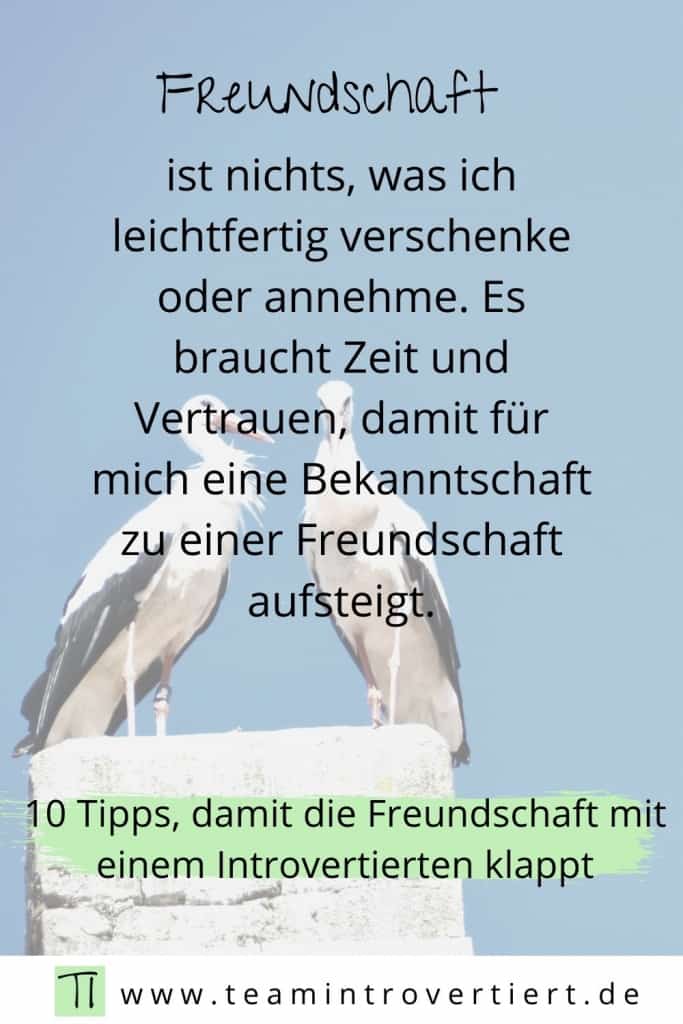 Freundschaft ist nichts, was ich leichtfertig verschenke oder annehme. | Team Introvertiert