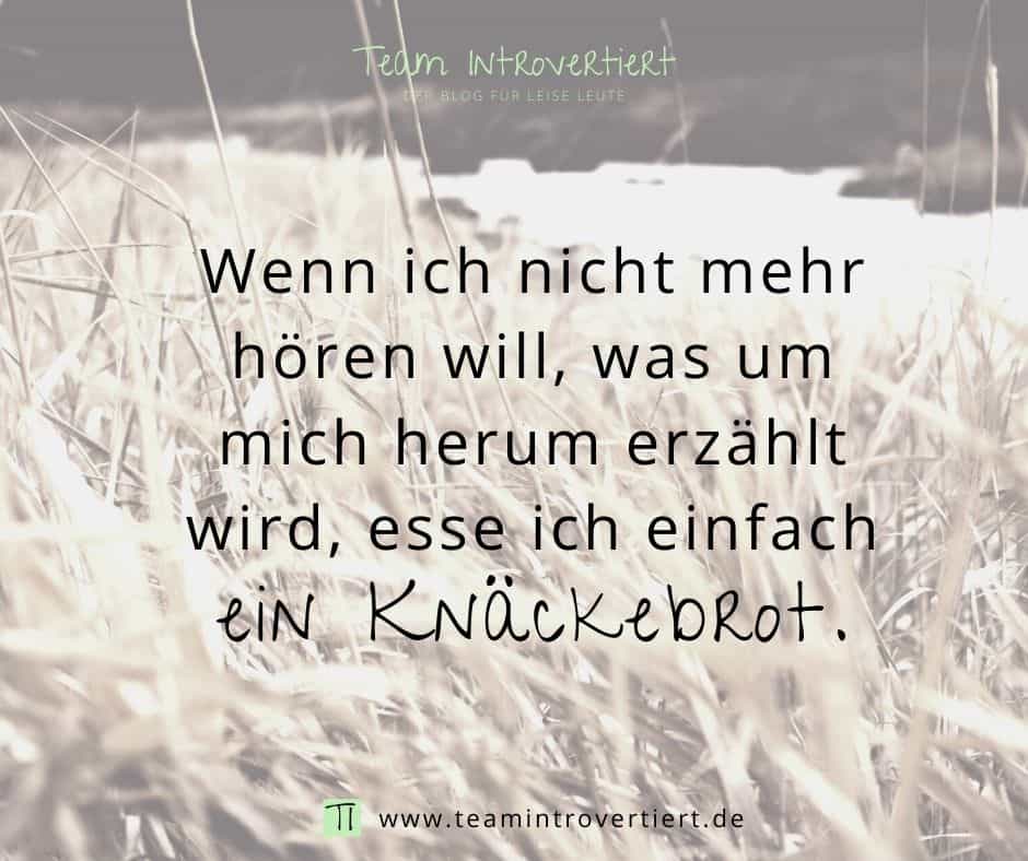 "Wenn ich nicht mehr hören will, was um ich herum erzählt wird, esse ich einfach ein Knäckebrot." | Team Introvertiert