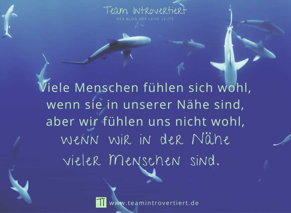Viele Menschen fühlen sich wohl, wenn sie in unserer Nähe sind, aber wir fühlen uns nicht wohl, wenn wir in der Nähe vieler Menschen sind. | Team Introvertiert