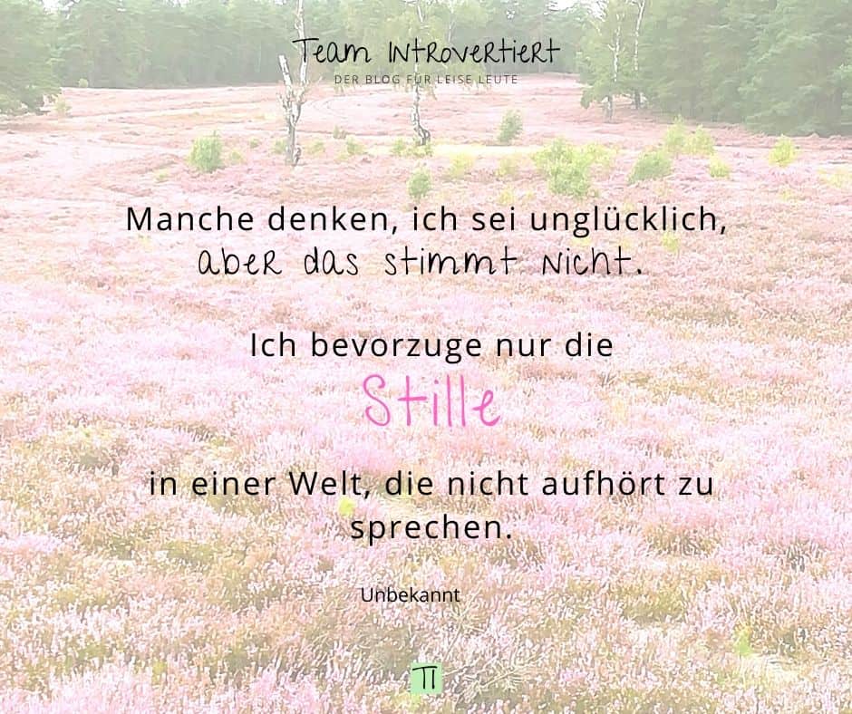 Ich bevorzuge nur die Stille | Team Introvertiert