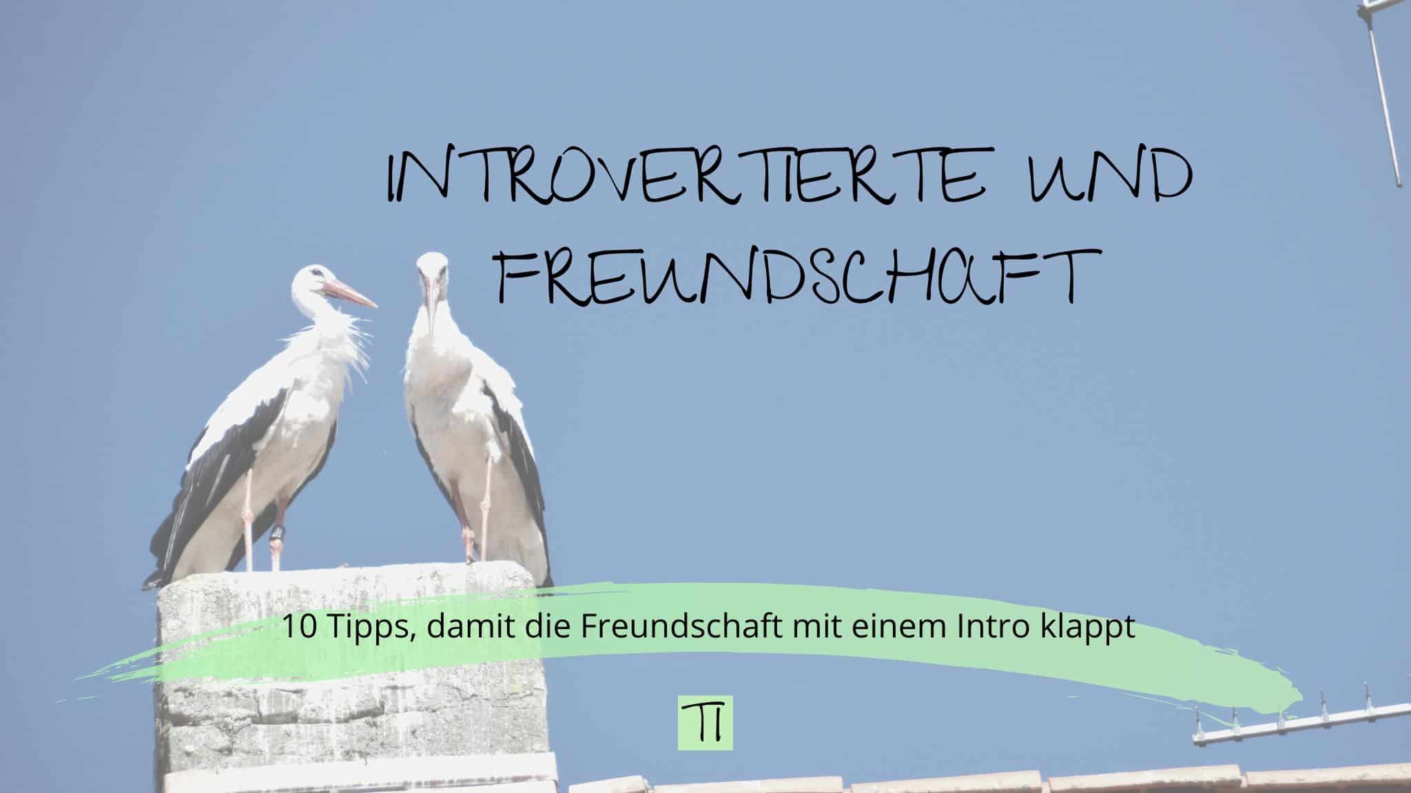 Titel: Introvertierte und Freundschaft | Team Introvertiert