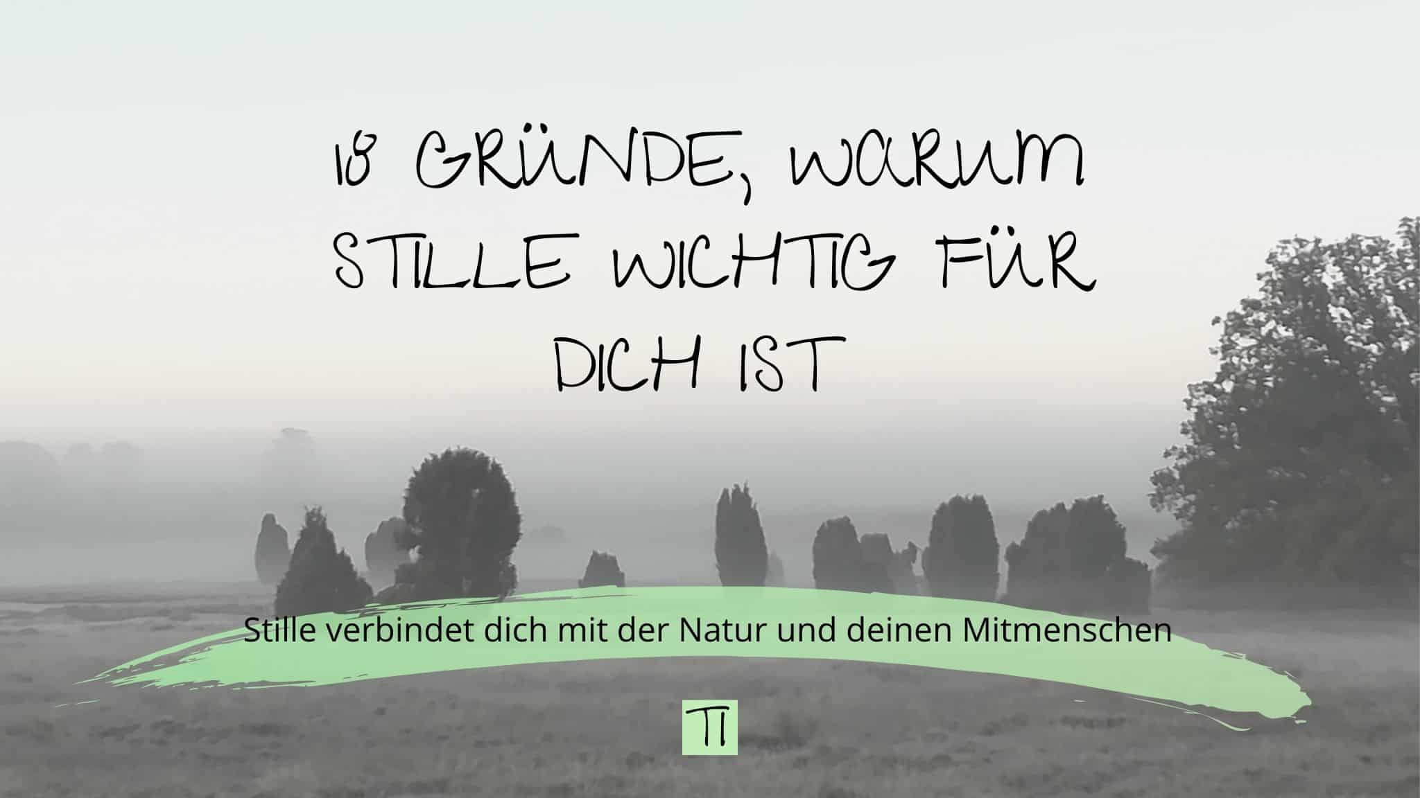 Titel: 18 Gründe für Stille | Team Introvertiert
