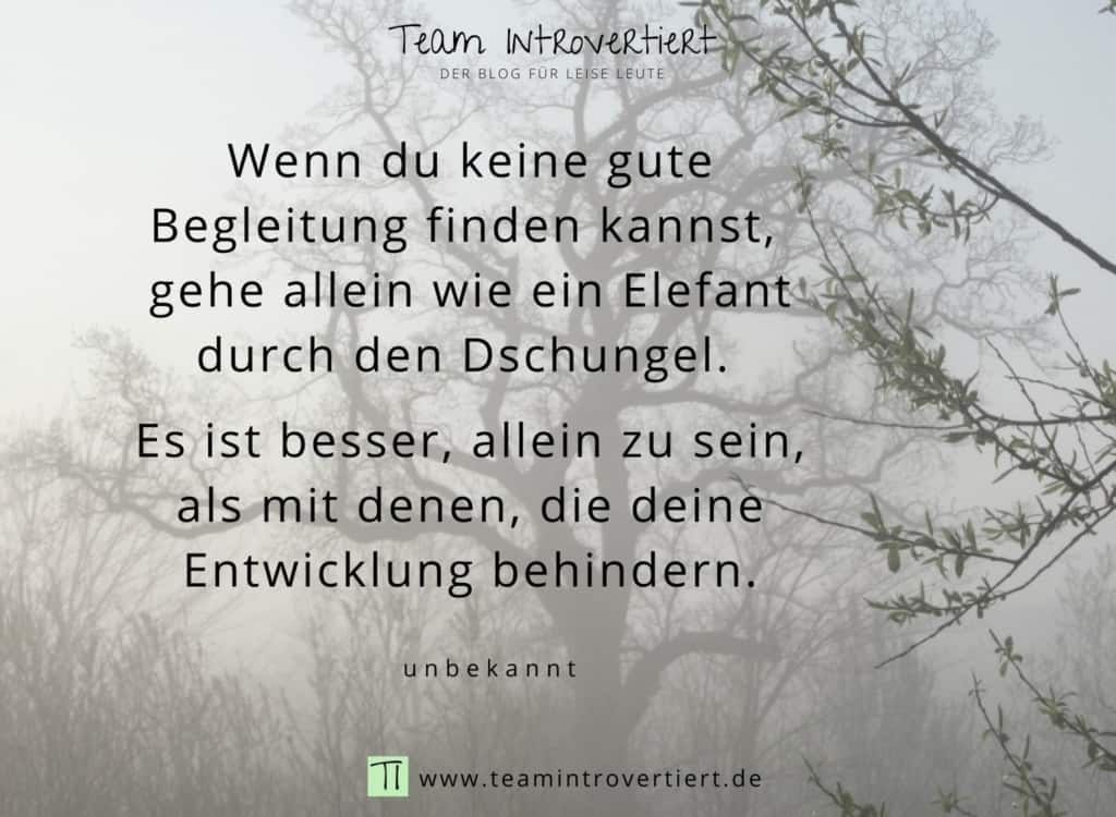 Wenn du keine gute Begleitung finden kannst, gehe allein wie ein Elefant durch den Dschungel. Es ist besser, allein zu sein, als mit denen, die deine Entwicklung behindern. (Unbekannt) | Team Introvertiert