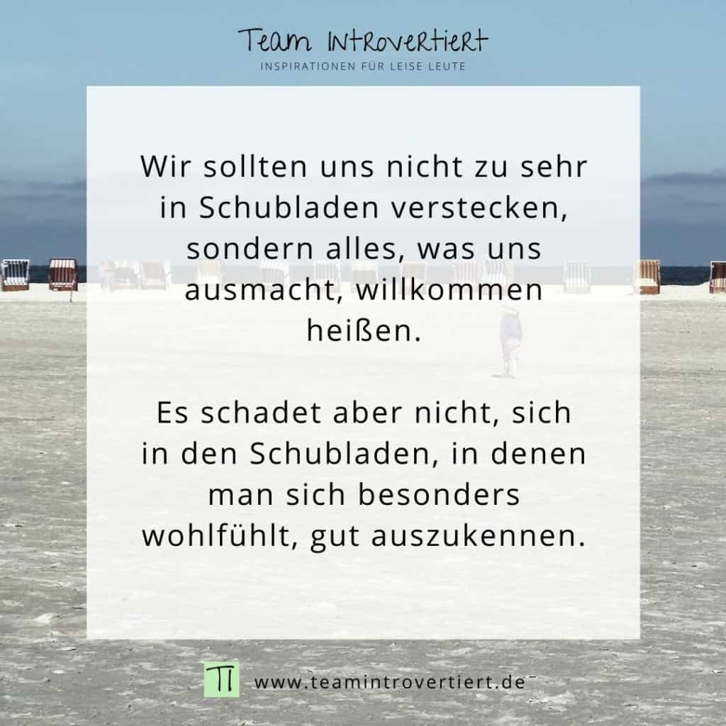 Wir sollten uns nicht zu sehr in Schubladen verstecken | Team Introvertiert