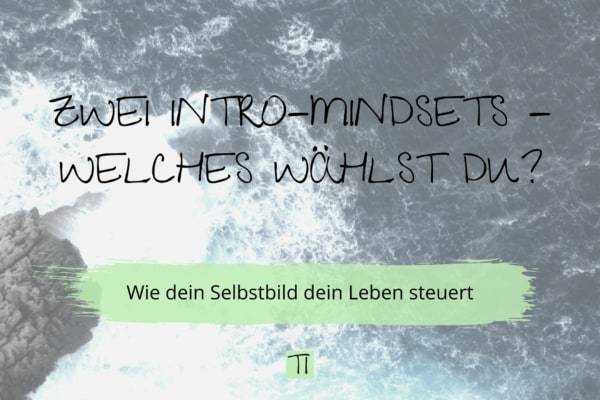 Titel: Zwei Intro-Mindsets: Welches wählst du? Wie dein Selbstbild dein Leben steuert | Team Introvertiert