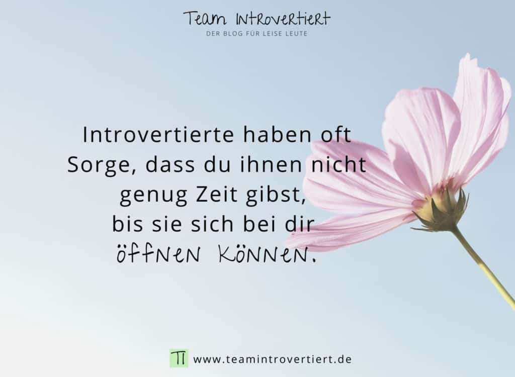 Introvertierte haben oft Sorge, dass du ihnen nicht genug Zeit gibst, bis sie sich bei dir öffnen können. | Team Introvertiert